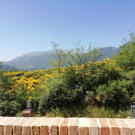 Bed and Breakfast Luci Sui Monti Sarnano Exterior foto
